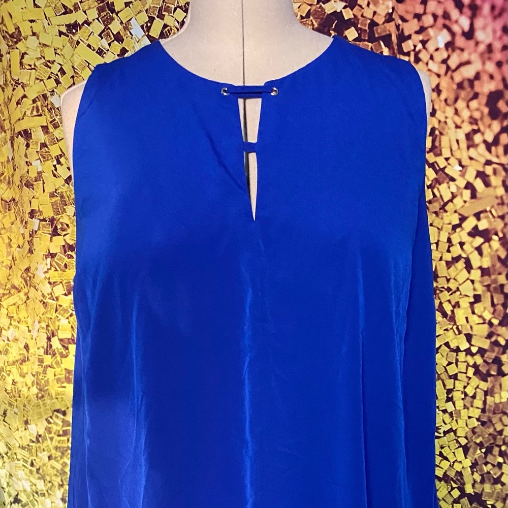 XXL Project Runway Blue Dress